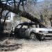 Πολιτική αντιπαράθεση για τη διαχείριση των πυρκαγιών και τα μέτρα στήριξης των πληγέντων - ertnews.gr