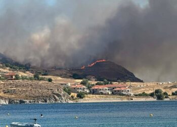 Λήμνος: Συνελήφθη ο αντιδήμαρχος Περιβάλλοντος και Ποιότητας Ζωής για τη φωτιά στην περιοχή Θάνος
