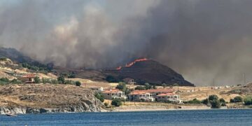 Λήμνος: Συνελήφθη ο αντιδήμαρχος Περιβάλλοντος και Ποιότητας Ζωής για τη φωτιά στην περιοχή Θάνος