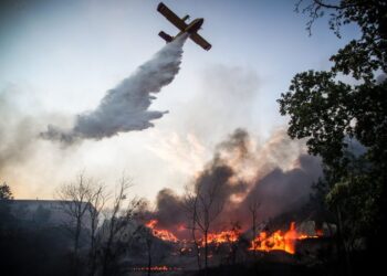 Φωτιά και στην Καμηλόβρυση Φθιώτιδας: Ήχησε το 112