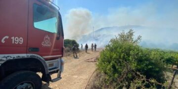 Λακωνία: Πυρκαγιά σε δασική έκταση στον Άγιο Νικόλαο