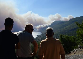 LIVE: «Η επόμενη μέρα για την αποκατάσταση του Δάσους στη Δυτική Αττική» - Συνέντευξη Παπασταύρου