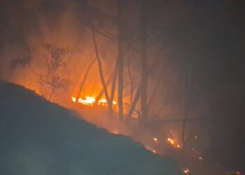 Χωρίς ενεργό μέτωπο η πυρκαγιά στην Αλφειούσα – Ολονύχτια μάχη με τις φλόγες (vid)