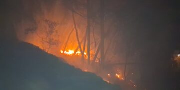 Χωρίς ενεργό μέτωπο η πυρκαγιά στην Αλφειούσα – Ολονύχτια μάχη με τις φλόγες (vid)
