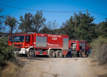 Κίνδυνος πυρκαγιάς: Σε «κίτρινο συναγερμό» σήμερα Αττική, Στερεά Ελλάδα, βόρεια Πελοπόννησος και Έβρος