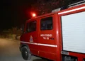 Βόλος: Φωτιά σε αγροτοδασική έκταση στο Βελεστίνο – Στο σημείο ισχυρές πυροσβεστικές δυνάμεις