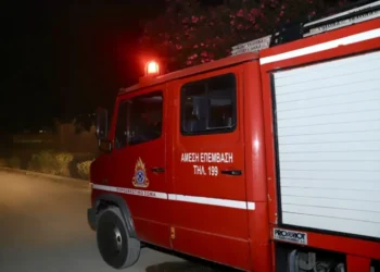 Βόλος: Φωτιά σε αγροτοδασική έκταση στο Βελεστίνο – Στο σημείο ισχυρές πυροσβεστικές δυνάμεις