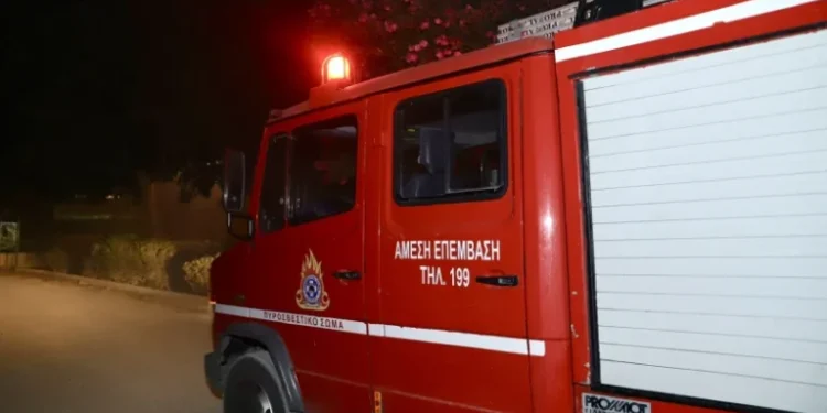 Βόλος: Φωτιά σε αγροτοδασική έκταση στο Βελεστίνο – Στο σημείο ισχυρές πυροσβεστικές δυνάμεις