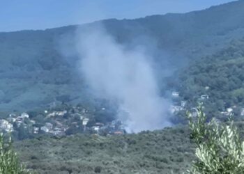 Νέα πυρκαγιά στον Άγιο Λαυρέντιο τέθηκε άμεσα υπό έλεγχο – Προβληματισμός στην Πυροσβεστική