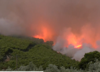 Φλόγες από τη Βοιωτία στην Αττική: Σηκώθηκαν τα εναέρια μέσα στο Πόρτο Γερμενό – Εγκλωβισμένο το συνεργείο του ΕΡΤnews