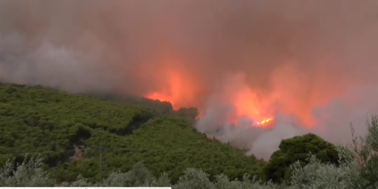 Φλόγες από τη Βοιωτία στην Αττική: Σηκώθηκαν τα εναέρια μέσα στο Πόρτο Γερμενό – Εγκλωβισμένο το συνεργείο του ΕΡΤnews