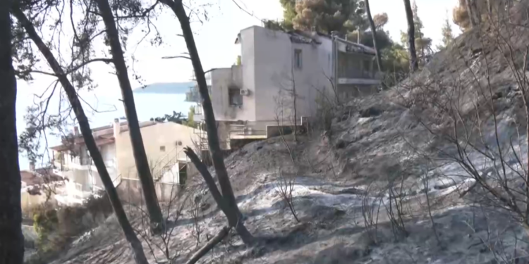 Μαύρο τοπίο στη Σίβηρη Χαλκιδικής: Στάχτες και αποκαΐδια την επόμενη μέρα της καταστροφικής πυρκαγιάς
