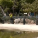 Ιός Δυτικού Νείλου: Εντατικοί ψεκασμοί και αυξημένη ετοιμότητα από τους δήμους
