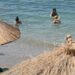 Καύσωνας στην Ελλάδα: Ξεπέρασαν τους 40 βαθμούς Κελσίου οι μέγιστες θερμοκρασίες – Στους 39,6 η Αττική - ertnews.gr