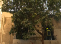 Θεσσαλονίκη: Υπό έλεγχο η φωτιά στο εγκαταλελειμμένο κτίριο – Δεν έχει εντοπιστεί άτομο
