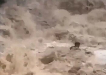 Ταϊλάνδη: Τρομακτικό βίντεο με τουρίστες να παρασύρονται από ορμητικά νερά σε καταρράκτη, σώθηκαν τελευταία στιγμή