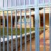 Μαρούσι: Συνελήφθη 15χρονος για τον τραυματισμό 14χρονου κατά τη διάρκεια καβγά - ertnews.gr