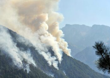 Σκέρτσος: Η Ελλάδα άντεξε καλύτερα από τον ευρωπαϊκό Νότο στις πυρκαγιές το καλοκαίρι του 2026