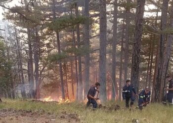 Βελτιωμένη η εικόνα της φωτιάς στην Κόνιτσα – Μάχη των δασοκομάντος με τις φλόγες