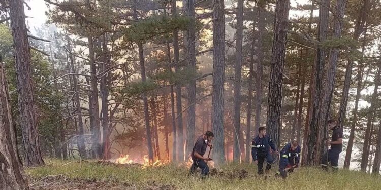 Βελτιωμένη η εικόνα της φωτιάς στην Κόνιτσα – Μάχη των δασοκομάντος με τις φλόγες