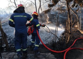 Φωτιά στην Ανάβυσσο - Στη μάχη και εναέρια μέσα - ertnews.gr