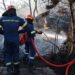 Φωτιά στην Ανάβυσσο - Στη μάχη και εναέρια μέσα - ertnews.gr