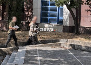 Μεσσήνη: Την Παρασκευή απολογείται ο 60χρονος που συνελήφθη ξανά για νέους εμπρησμούς – Τέσσερις πυρκαγιές σε πέντε ημέρες