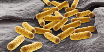 Γενετικά τροποποιημένο E. coli μετατρέπει τους όγκους σε μικροσκοπικά «εργοστάσια» αντικαρκινικών φαρμάκων