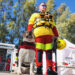 Ήρα: Η τετράποδη «ναυαγοσώστρια» που γράφει ιστορία στις διασώσεις στην Ελλάδα