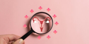 Την είχαν «σβήσει» από τα βιβλία ανατομίας για έναν αιώνα – Η ξεχασμένη δομή που μπορεί να είναι κρίσιμη για τις γυναίκες