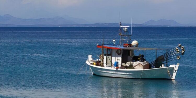 Αλιεία: Στο επίκεντρο το νέο νομοσχέδιο – Τι λέει στο ΕΡΤnews Radio 105,8 ο Γενικός Γραμματέας Αγροτικής Ανάπτυξης και Τροφίμων 