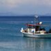 Αλιεία: Στο επίκεντρο το νέο νομοσχέδιο – Τι λέει στο ΕΡΤnews Radio 105,8 ο Γενικός Γραμματέας Αγροτικής Ανάπτυξης και Τροφίμων