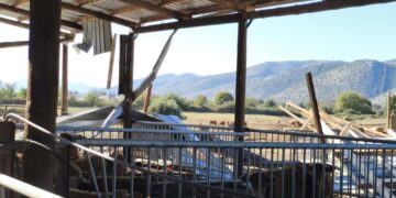 Κακοκαιρία στην Ήπειρο: Ανεμοστρόβιλος ισοπέδωσε τμήμα κτηνοτροφικής μονάδας – 88 πρόβατα σκοτώθηκαν από κεραυνό