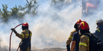 Μεσσηνία: Μεγάλη κινητοποίηση για φωτιά στο Ψάρι – Έχει πάρει διαστάσεις λόγω των ισχυρών ανέμων