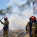 Μεσσηνία: Μεγάλη κινητοποίηση για φωτιά στο Ψάρι – Έχει πάρει διαστάσεις λόγω των ισχυρών ανέμων