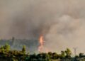 Πυρκαγιά σε αγροτοδασική έκταση στη Διάσελλα Ηλείας – Σηκώθηκαν 6 εναέρια μέσα