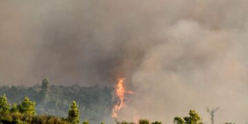 Πυρκαγιά σε αγροτοδασική έκταση στη Διάσελλα Ηλείας – Σηκώθηκαν 6 εναέρια μέσα