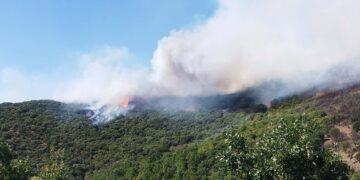 Εύβοια: Πυρκαγιά σε χαμηλή βλάστηση στην Κάρυστο – 112 για ετοιμότητα