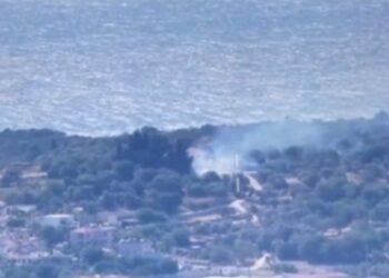 Χίος: Υπό έλεγχο η φωτιά στα Νένητα – Συνελήφθη η υπαίτια και επιβλήθηκε πρόστιμο 2.060 ευρώ