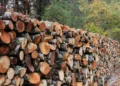 Καυσόξυλα: Άρχισαν νωρίς οι παραγγελίες – Οι τιμές σε Αττική και Καστοριά