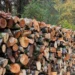 Καυσόξυλα: Άρχισαν νωρίς οι παραγγελίες – Οι τιμές σε Αττική και Καστοριά