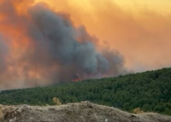 Εύβοια: Πυρκαγιά σε χαμηλή βλάστηση στον Άγιο Αθανάσιο