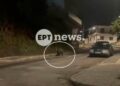 Αρκούδα κάνει βόλτες στο κέντρο του Άργους Ορεστικού