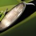 Η Lamborghini τιμά την Miura με το απόλυτο συλλεκτικό αντικείμενο