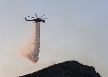 Πυρκαγιά σε αγροτοδασική έκταση στη Λαμία - Επιχειρούν τρία εναέρια μέσα - ertnews.gr