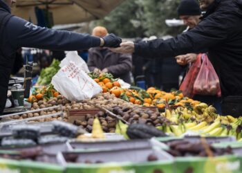 Υπ. Ανάπτυξης: Νέο πλαίσιο για τον εκσυγχρονισμό των λαϊκών αγορών και τη διευκόλυνση των επαγγελματιών - ertnews.gr