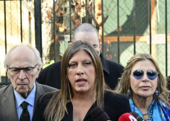 Κωνσταντοπούλου για την υπόθεση Βαλυράκη: «Στοιχεία που βοούν για στυγερή δολοφονία» - Αιχμές για παραθεσμική λειτουργία και παρεμβάσεις - ertnews.gr