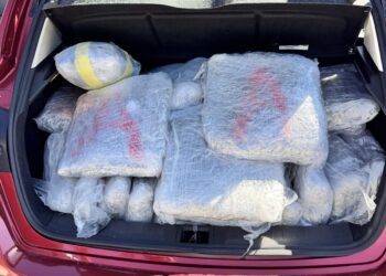Πάνω από 70 κιλά κάνναβης κατασχέθηκαν στην Εγνατία