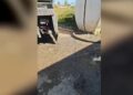 Σπάτα: Σύλληψη 59χρονου οδηγού βυτιοφόρου για παράνομη απόρριψη λυμάτων με κίνδυνο για τη δημόσια υγεία