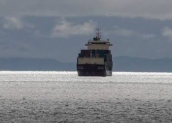 Neptune Ethos: Ασφαλείς και οι 36 επιβαίνοντες μετά την προσάραξη στη Σαλαμίνα